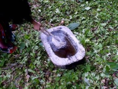 Boiling maple sap in a hollowed log using hot rocks.