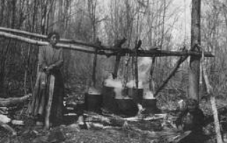 A photo of an Ojibwa woman tending kettles of maple syrup.